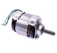 Электродвигатель Nice WGA05 для привода WINGOKCE, WG5000, WG4000